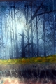 thumbnails/013-006-Bild113.jpg.small.jpeg